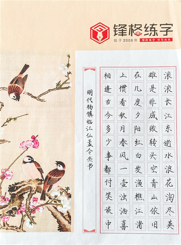 2023鋒格杯全國青少年硬筆書法大賽獲獎作品—《明代楊慎臨江仙孟令傑書》