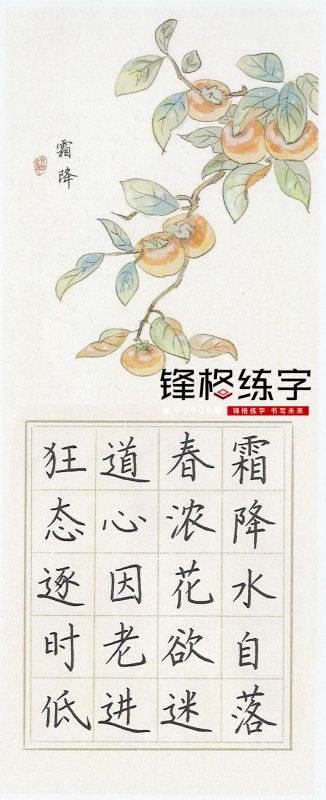 鋒格練字作品展示——霜降