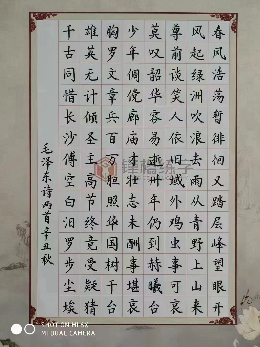 鋒格練字